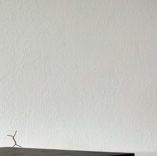 Vassoio La Danza
